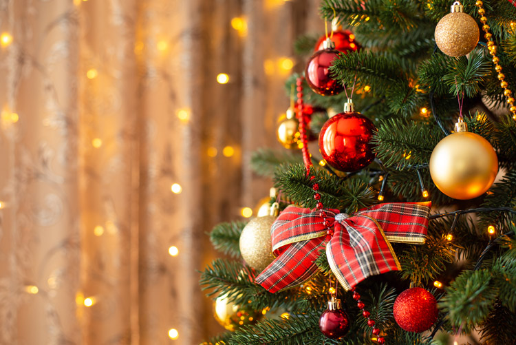 A Christmas tree with decorations