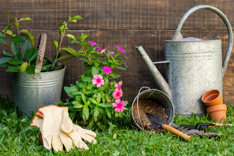 Lawn care and gardening equipment