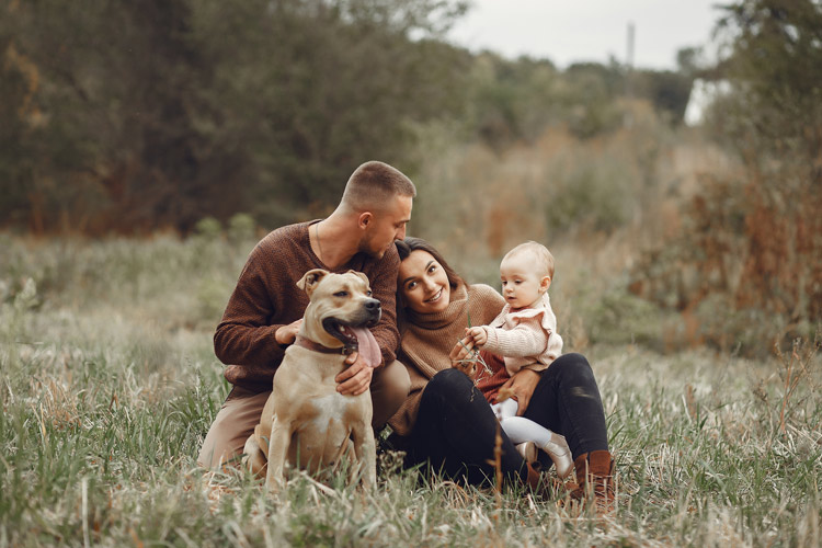Husband, wife, daughter, and dog posing for a family photo