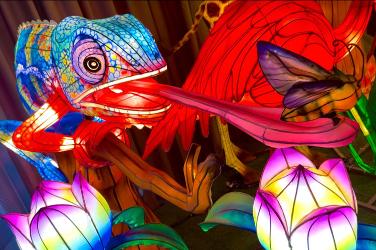 Glow Wild: Chinese Lantern Festival