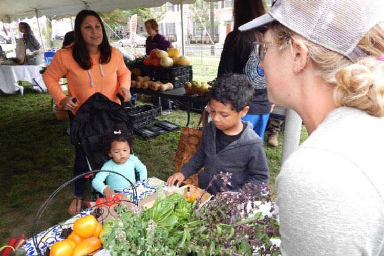 Little Italy Farmers Market