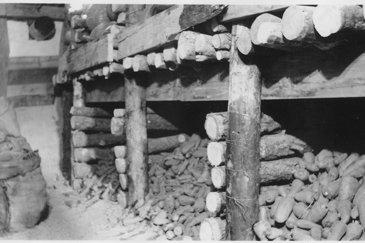 Root Cellar