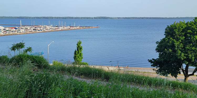 View from West Bayfront