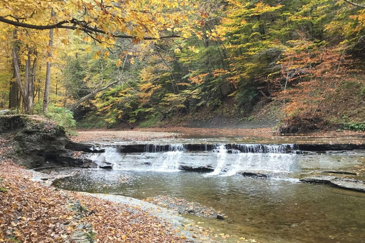 Wintergreen Gorge Trail