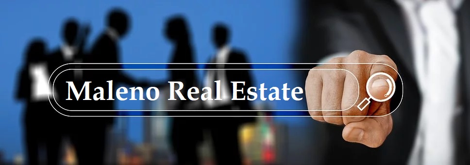 Search Bar for Maleno Real Estate